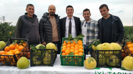 Hatay'da 905 ton ürün bekleniyor