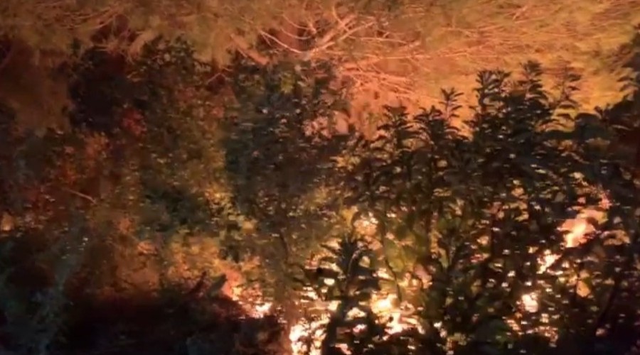 Hatay'daki yangına müdahale ediliyor