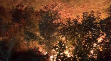 Hatay'daki yangına müdahale ediliyor