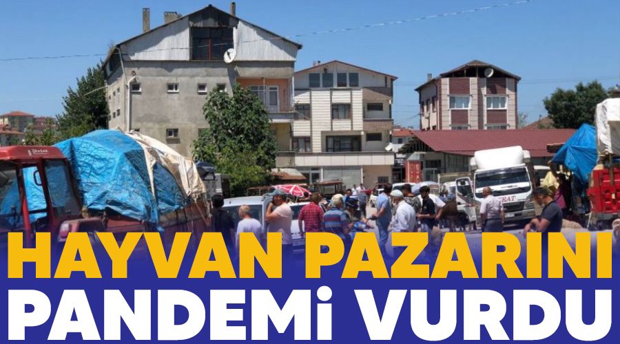 Hayvan pazar�n� pandemi vurdu