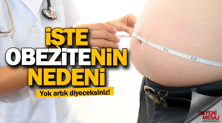 Hazır gıdalar obezite nedeni