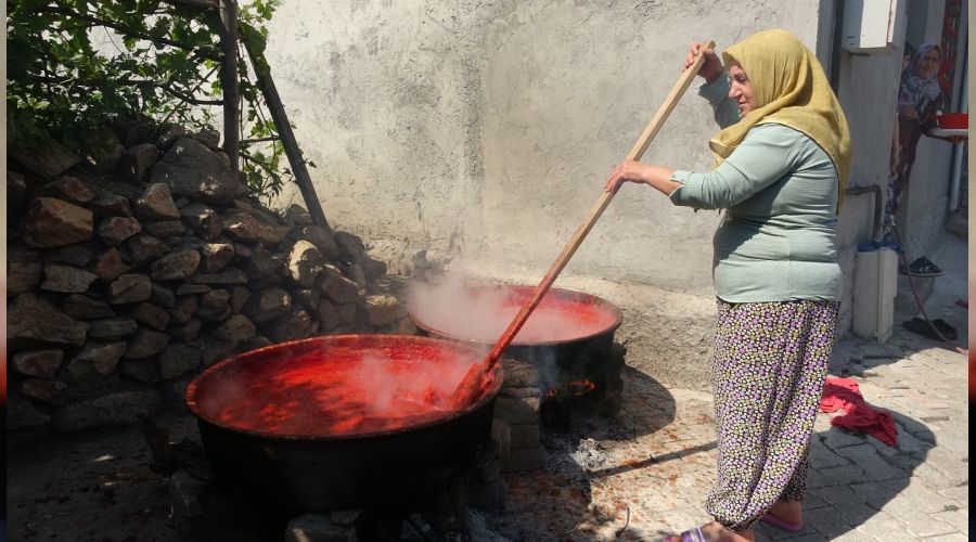 Hem organik hem de ekonomik sal�a tela��