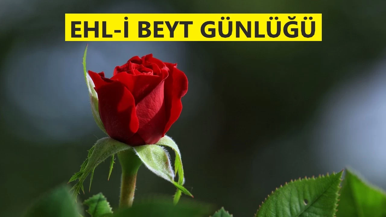 Hz. Ali halifeliği neden kabul etti?