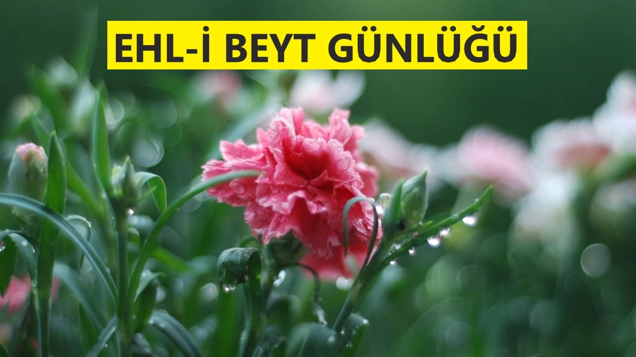 Hz. Ali, Resûlullah’ın sünnetini yeniden canlandırdı