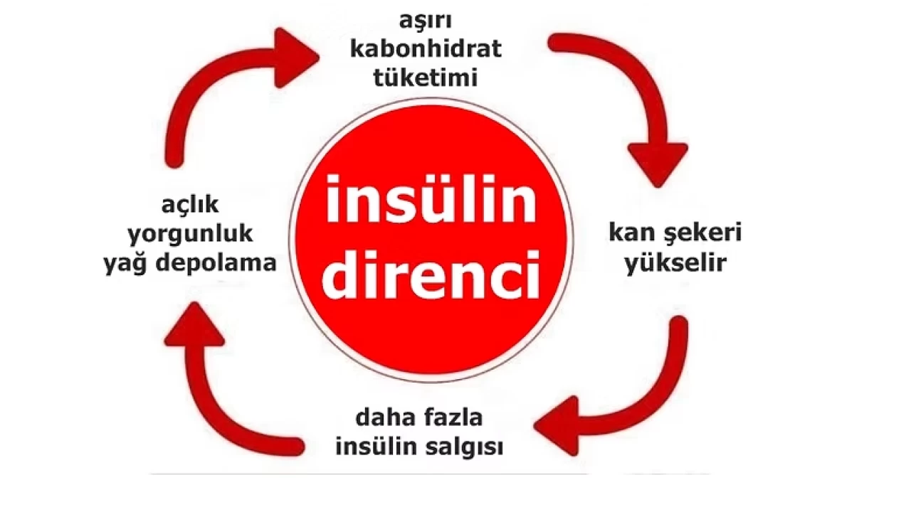 İnsülin direncinden kurtulmak mümkün mü?