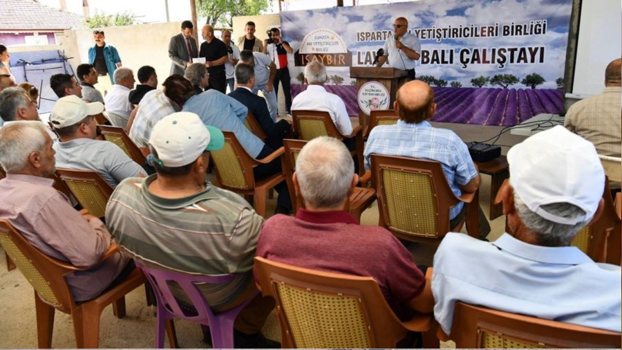 Isparta lavanta bal� �retiminde pilot il olmay� hedefliyor