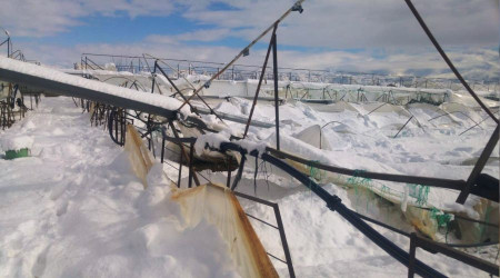 Isparta'da seralar youn kara dayanamad