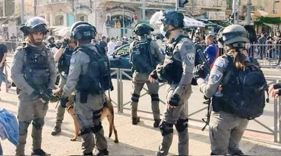 �srail askerleri, Mevlit Kandili'nde de sald�rd�