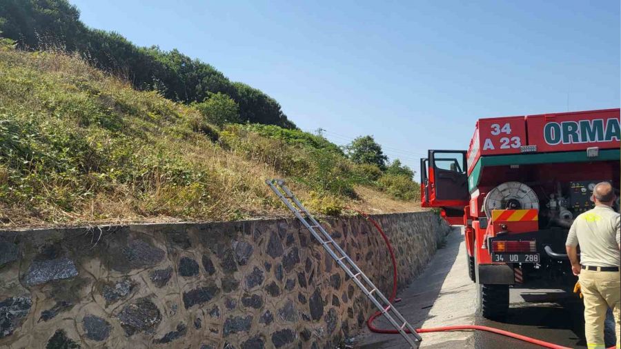 İstanbul Kemerburgaz'da orman yangını