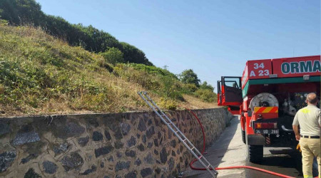 İstanbul Kemerburgaz'da orman yangını