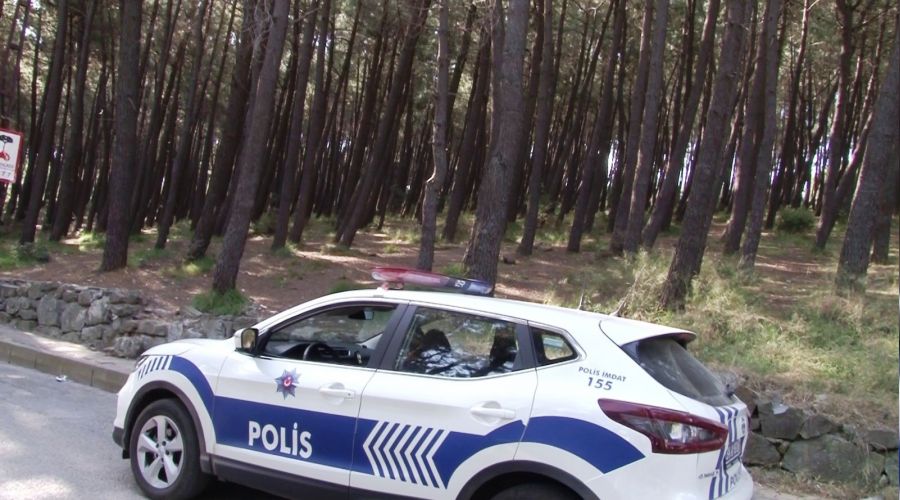 �stanbul'da ormanl�k alanlarda �eritli ve polisli �nlem