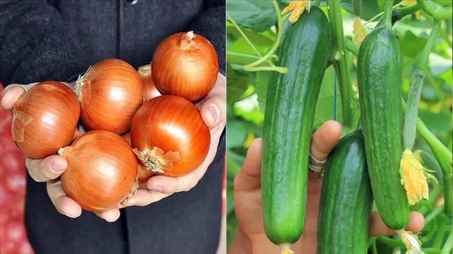 İşte zam şampiyonu