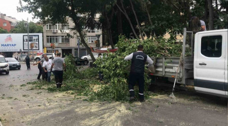 Kadıköy'de şiddetli rüzgâr ağacı devirdi