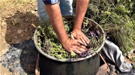 Kara kazandan gelen doğal şifa