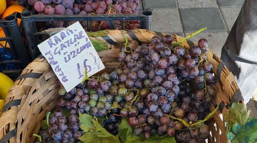 Karaçatlak üzümü tezgahlarda yerini aldı
