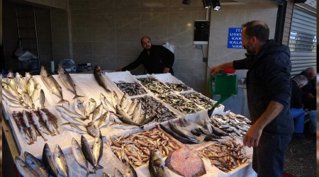 Karadeniz'de istavrit ve inekop bolluu