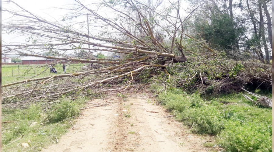 Kastamonu'da hortum deheti