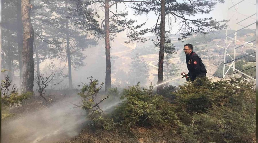 Kastamonu'da orman yangını büyümeden söndürüldü