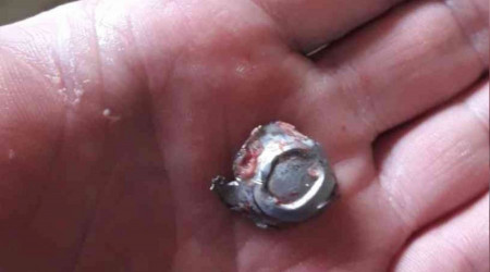 Kayıp mandalarını ormanda silahla vurulmuş halde buldu