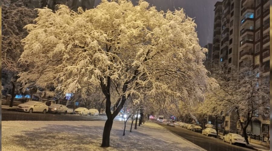 Kayseri'ye yılın ilk karı düştü