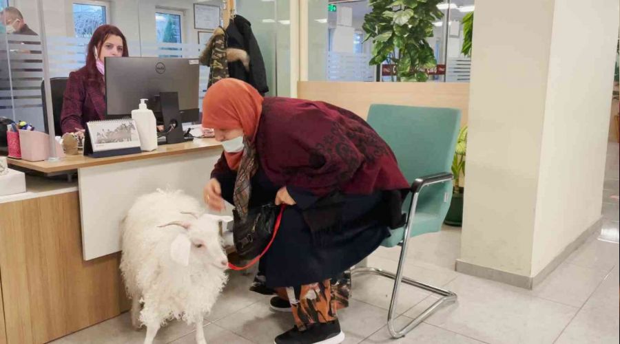 Kei vergi yatrmaya gitti!