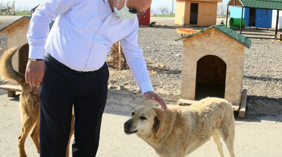 Ke�i�ren Belediyesinden rekor tedavi hizmeti