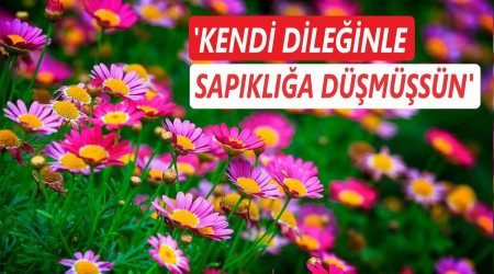 ‘Kendi dileğinle sapıklığa düşmüşsün’ 