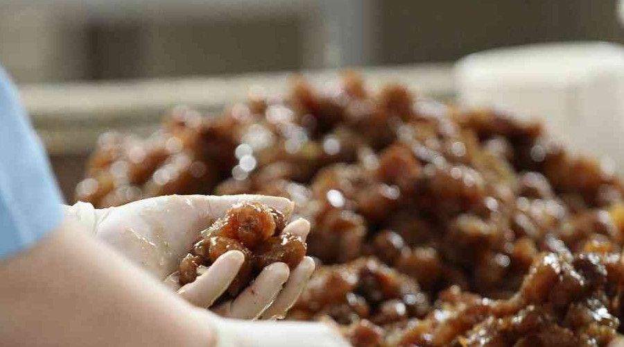 Kestane �ekeri ihracat� art�yor