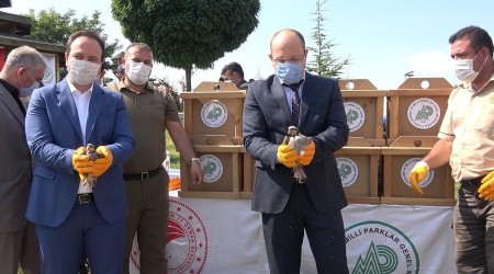 Kırıkkale'de kınalı keklik salımı yapıldı