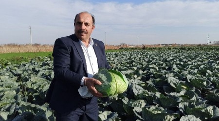 Kışlık sebzede çiftçinin altın yılı