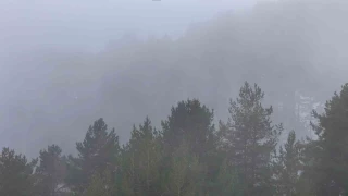 Kızılcahamam'da kar ve orman güzelliği havadan görüntülendi