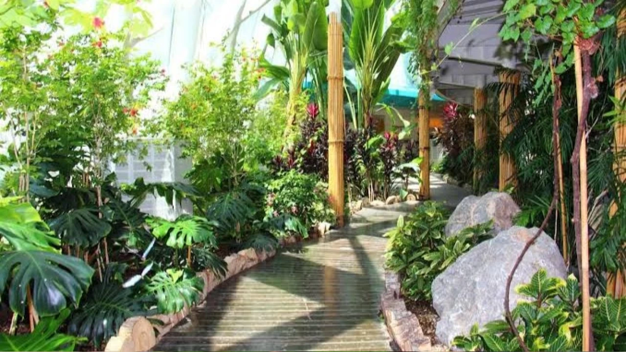 Konya Tropikal Kelebek Bah�esi'ni ke�fedin