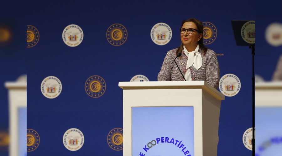 Kooperatif �ok, etkileri yok