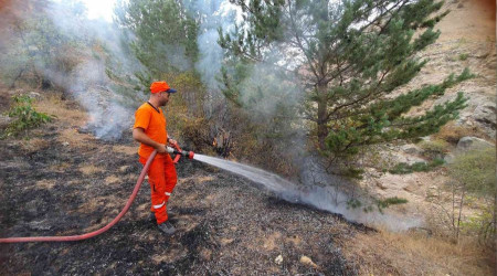 Kopan elektrik teli yangna neden oldu