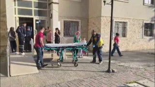 K�peklerin sald�rd��� karde�lerin biri yaraland�, di�erindeyse travmas� olu�tu