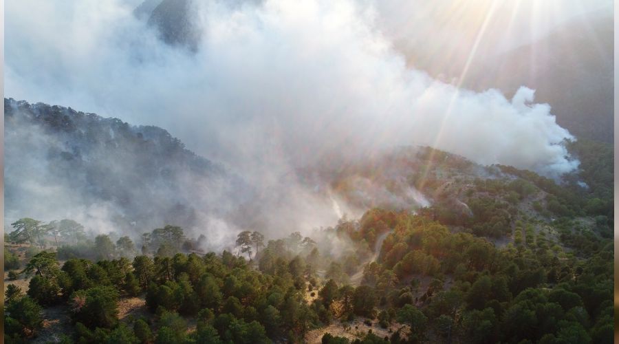 K�yce�iz da�lar�nda yo�un duman