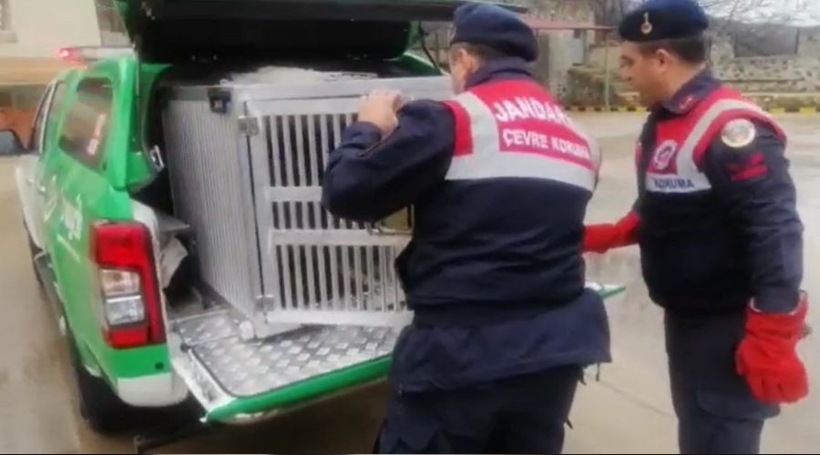 Köylerde 'yasaklı ırk' tedirginliği