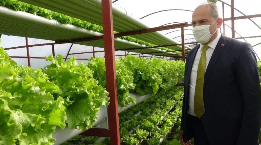 Köylere dönüşün olması tarıma hareketlilik getirdi
