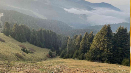Kümbet Yaylası cezbediyor