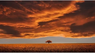 Kur' an' da insan  snfta mtalaa edilir