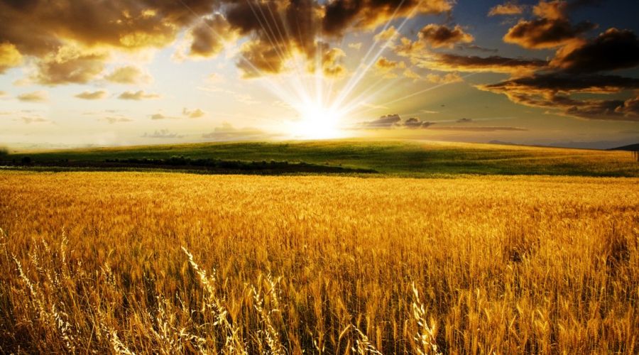 �Kur��n�� avucumun i�i gibi bilirim�