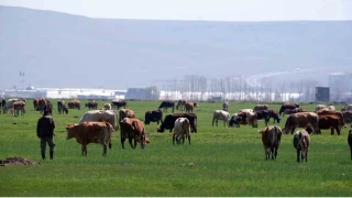 Kurban sat��lar�nda sosyal medya tuza��