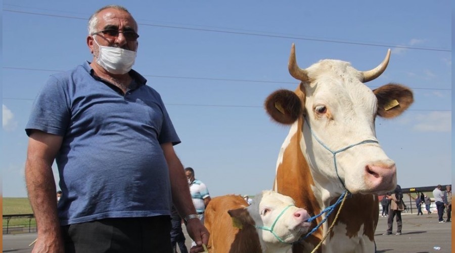 Kurban tedbirleri a��kland�  