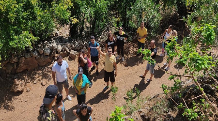 Lav tüpü mağrasındaki nadir tür