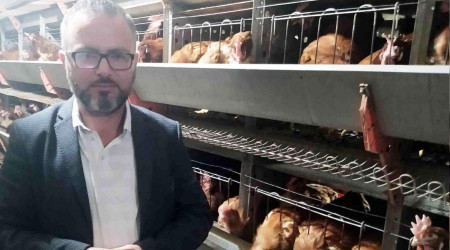 'Lıkır lıkır oynayan yumurta bayattır'