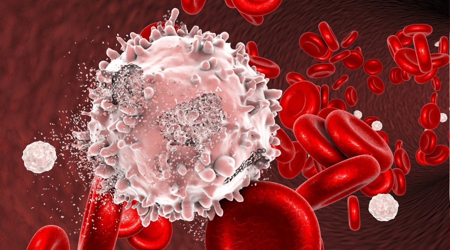 L�semide sa� kal�m oran� artt�