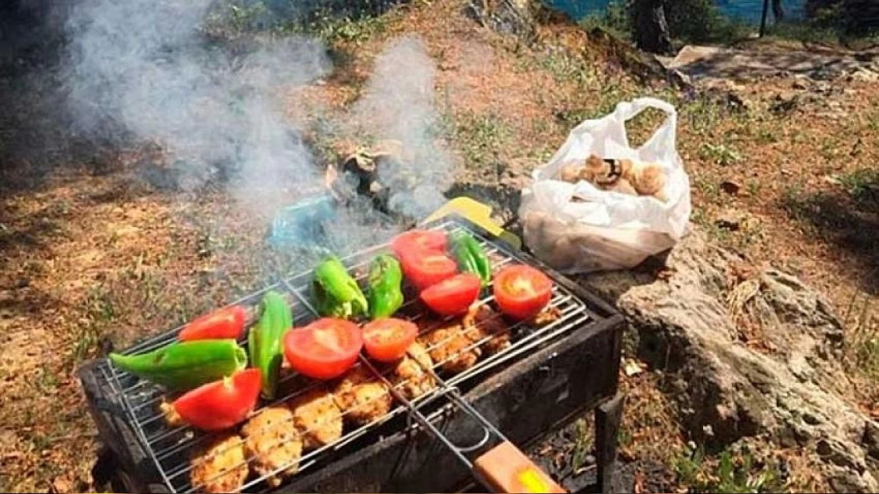 Mangal keyfiniz �evre felaketine d�n��mesin!