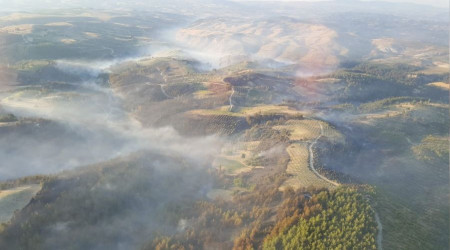 Manisa'daki orman yangn kontrol altna alnd