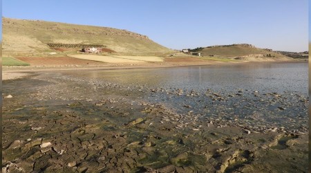 Mardin'de toplu balık ölümleri görüldü