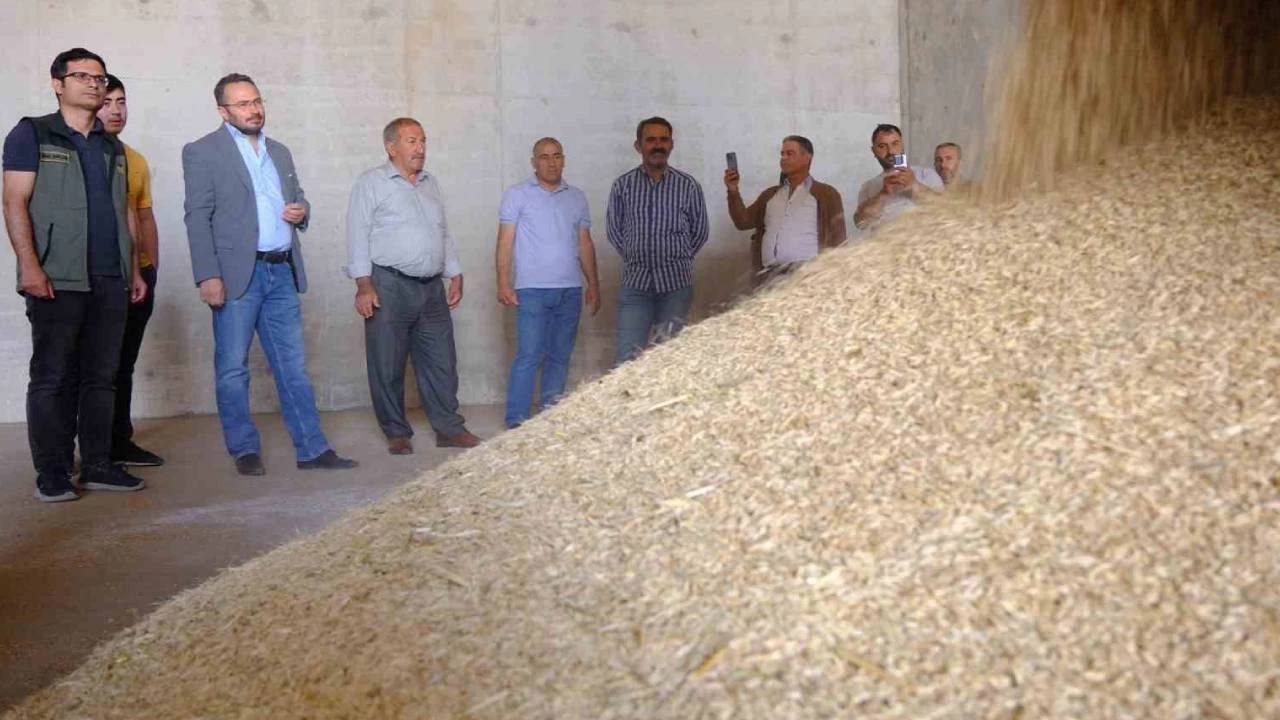 Mardin'de yapılan yılın ilk arpa hasadı yüzleri güldürdü